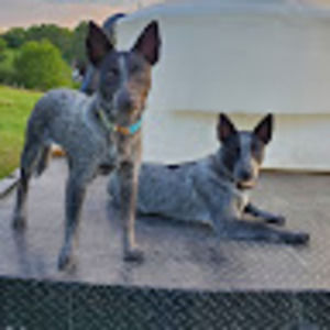 Meet your Posher, John